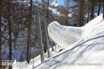 Photo Credit: Hans Steiner - Trumer North America