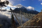Photo Credit: Andi Buechi - Geobrugg North America
